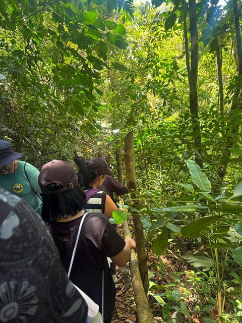 caminata_cascada-el-tagual-1.jpeg